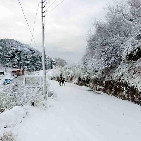 La Riqueza Dhanolti View # Near To Eco Park & Surkanda Devi Temple # Mountain View Rooms With Balcony # Big Parking # Customer Favourite Hotel Dhanaulti Dış mekan fotoğraf