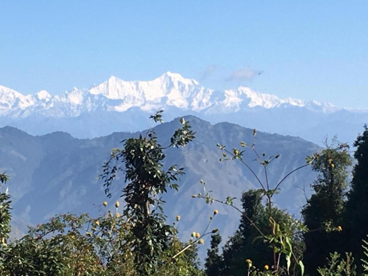 La Riqueza Dhanolti View # Near To Eco Park & Surkanda Devi Temple # Mountain View Rooms With Balcony # Big Parking # Customer Favourite Hotel Dhanaulti Dış mekan fotoğraf