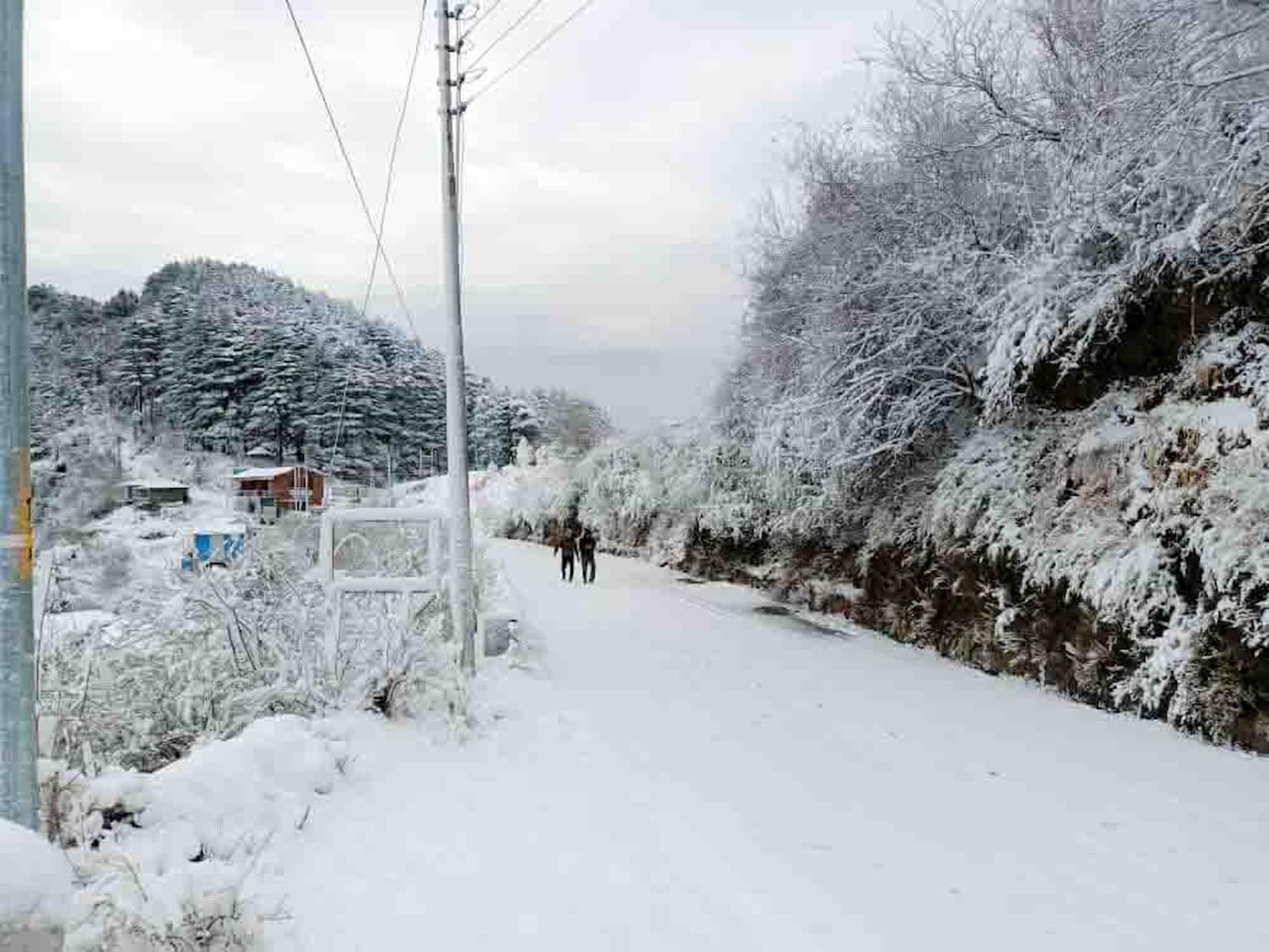 La Riqueza Dhanolti View # Near To Eco Park & Surkanda Devi Temple # Mountain View Rooms With Balcony # Big Parking # Customer Favourite Hotel Dhanaulti Dış mekan fotoğraf