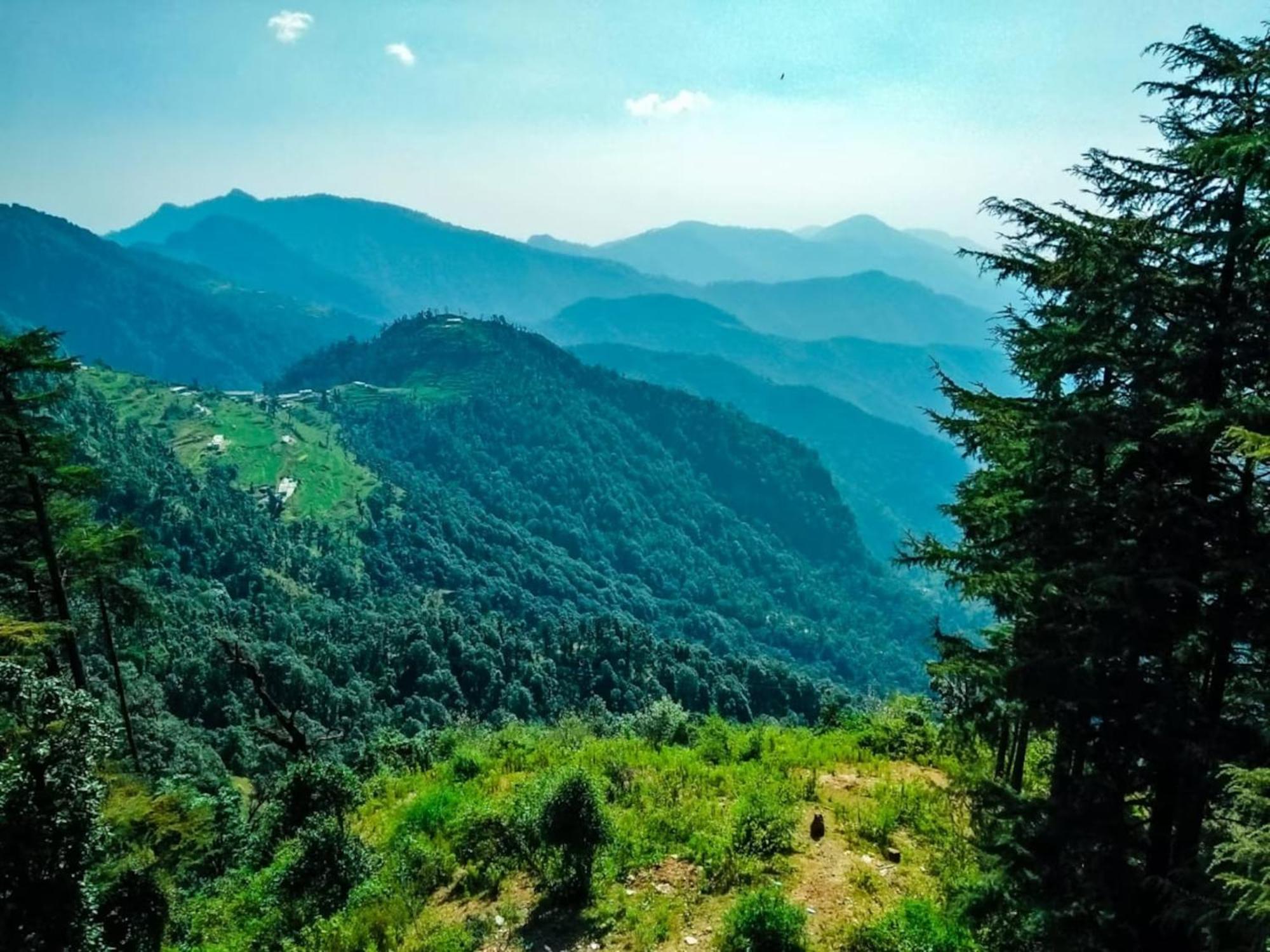 La Riqueza Dhanolti View # Near To Eco Park & Surkanda Devi Temple # Mountain View Rooms With Balcony # Big Parking # Customer Favourite Hotel Dhanaulti Dış mekan fotoğraf